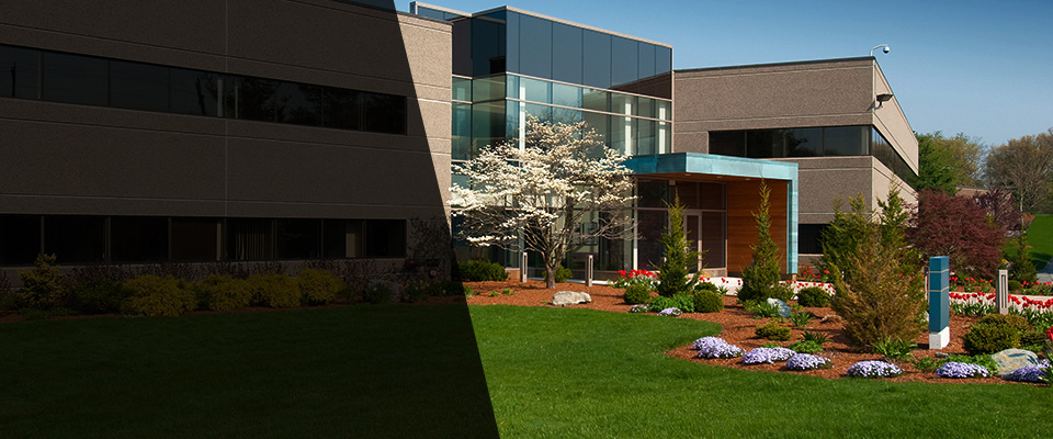 Glenmora Landscapers