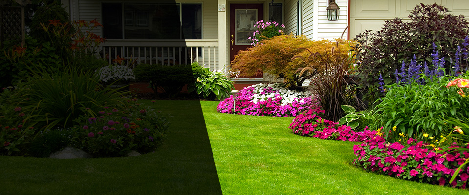 Glenmora Landscapers