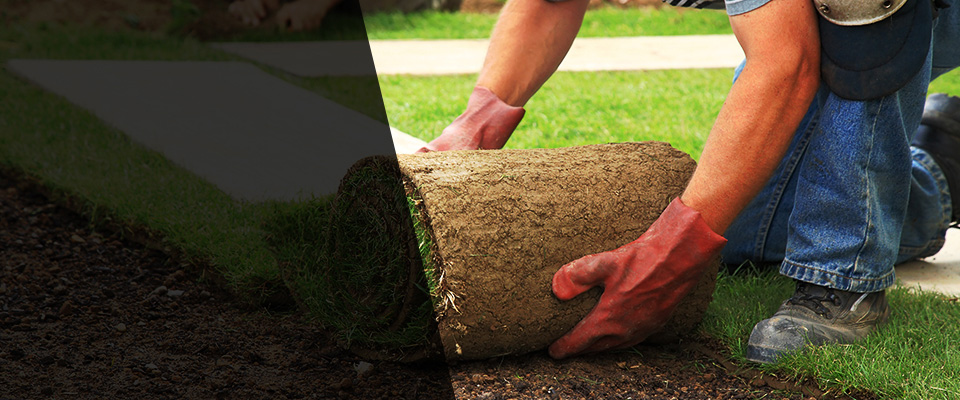 Glenmora Landscapers